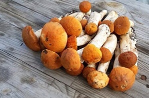 Создание сайта для базы отдыха «Аква-Хаус»