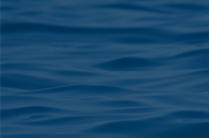 Создание корпоративного сайта для  страхового дискаунтера «ПАРУС»