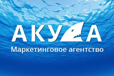 Разработка фирменного стиля агентства «Акула»