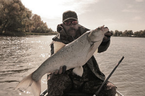 Создание сайта для базы отдыха «Аква-Хаус»